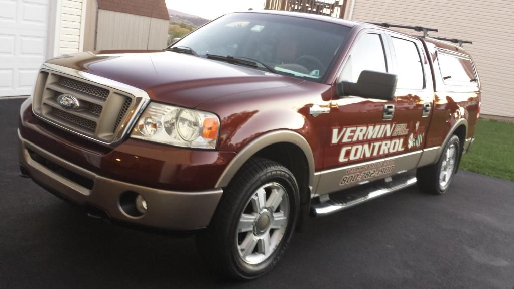 HOW DO YOU SAFELY CLEAN MATTE VINYL STRIPES?? General Detailing Discussion and Questions